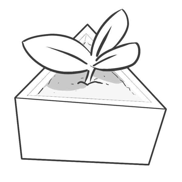 A young plant growing from a triangular pot - a metaphor for a good idea growing inside the cultural pyramid of a healthy political organization.